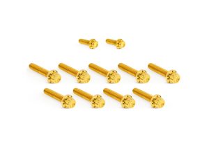 Titanium 12-Point Cam Cover Bolt Kit - Gold. Fits Most Touring 2017-2024 & Softail 2018-2024