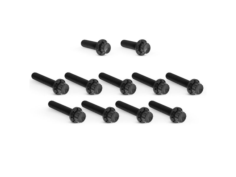 Titanium 12-Point Cam Cover Bolt Kit - Black. Fits CVO Touring 2023up