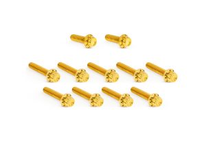 Titanium 12-Point Cam Cover Bolt Kit - Gold. Fits CVO Touring 2023up, Street Glide & Road Glide 2024up, Touring 2025up & Softail 2025up