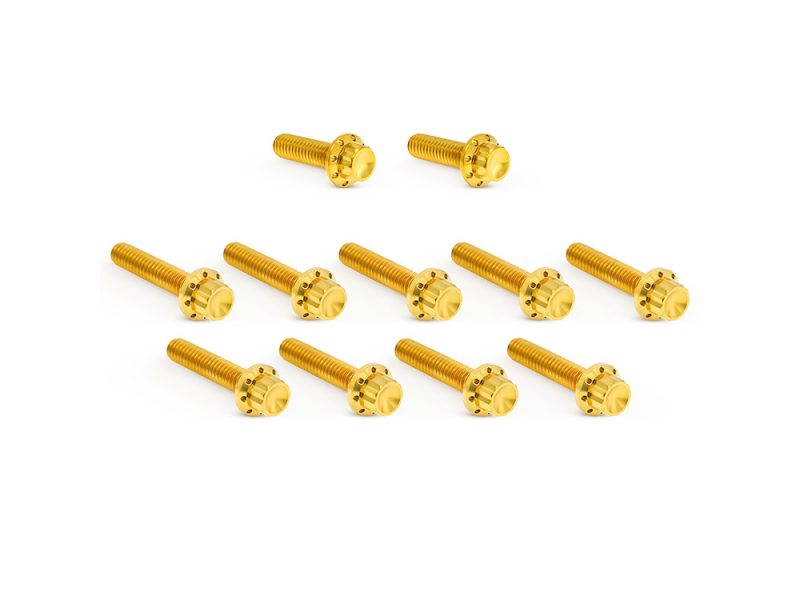 Titanium 12-Point Cam Cover Bolt Kit - Gold. Fits CVO Touring 2023up