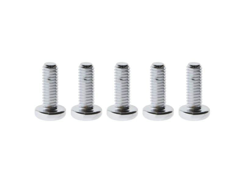 Chrome motorcycle engine bolts for Revelry Motorcycles, premium quality hardware.