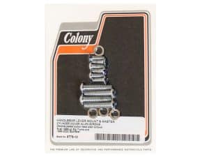 Chrome motorcycle handlebar lever mount and master cylinder cover allen screws set.