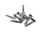 Shiny stainless steel motorcycle screws for bike maintenance and repair.