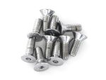 Stainless steel motorcycle screws for revelry cycles projects.