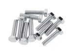 Assorted chrome motorcycle bolts, essential for bike assembly and repair.