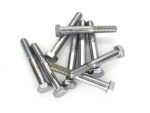Stainless steel motorcycle bolts for bike repair and maintenance.