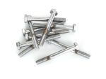 Stainless steel motorcycle bolts for Revelry Motorcycles and custom bike builds.