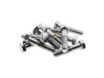 Stainless steel motorcycle engine bolts, hardware for Revory Motorcycle parts.