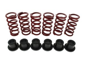 Replacement Red Heavy Duty Clutch Springs. Fits Big Twin 1998up Running EVO-1006-4160 & EVO-1006-4163.