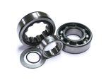 Outer Camshaft Bearings - Pair. Fits Dyna 1999-2005, Touring 1999-2006 & Softail 2000-2006