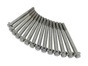 High-quality motorcycle engine bolts for Revelry Motorcycles, durable and reliable parts for performance.