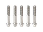 High-quality motorcycle bolts for Revelry bikes, durable stainless steel fasteners.