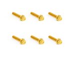 Gold motorcycle axle bolts for Revelry Motorcycles parts and accessories.