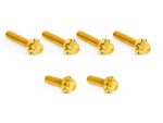 Golden motorcycle hardware bolts for bike customization and repairs.