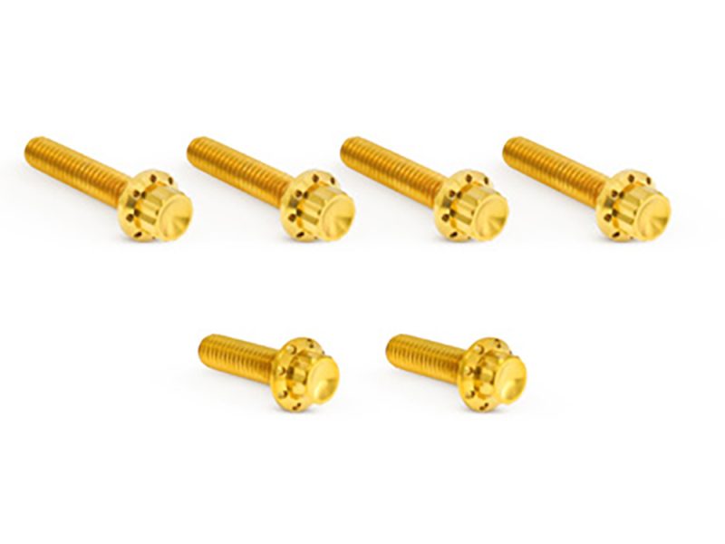 Titanium 12-Point Transmission Side Cover Bolt Kit - Gold. Fits Touring 2007-2023 Golden motorcycle hardware bolts for bike customization and repairs.