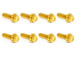 Gold motorcycle bolts for customisation and repair. High-quality hardware for Revelry Motorcycles in Australia.