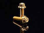 Gold motorcycle bolts for Revelry Motorcycles, high-quality fasteners for custom bike builds.