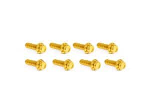 Golden motorcycle screws, high-quality fasteners for custom bikes and motorcycle maintenance.