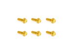 Golden motorcycle fastener screws for Revelry Motorcycles accessories and custom parts.