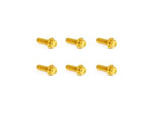 Golden motorcycle fastener screws for Revelry Motorcycles accessories and custom parts.
