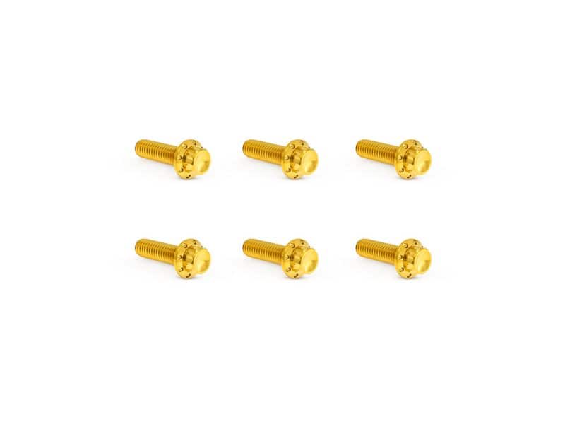 Golden motorcycle fastener screws for Revelry Motorcycles accessories and custom parts.