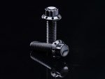 High-quality black motorcycle bolts on a reflective black surface for Revelry Motorcycles.