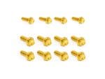 Golden motorcycle screws for custom bike builds and repairs. High-quality, durable fasteners for motorcycles and scooters. Ideal for motorcycle enthusiasts.