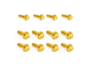 Golden motorcycle screws for custom bike builds and repairs. High-quality, durable fasteners for motorcycles and scooters. Ideal for motorcycle enthusiasts.