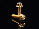 Luxury gold motorcycle bolts for Revelry Motorcycles, high-quality fasteners for custom bikes.