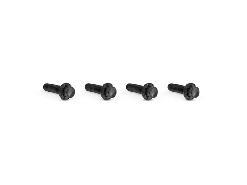 Titanium 12-Point Transmission Top Cover Bolt Kit or Clutch & Brake Perch Bolt Kit - Black. Fits CVO Touring 2023up Black motorcycle bolts set for Revelry Motorcycles and custom bike builds.