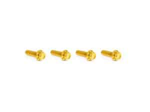 Shiny gold motorcycle screws for custom bike builds and repairs.