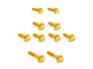 Gold motorcycle engine bolts for custom motorcycle builds and repairs. Premium quality, durable and stylish fasteners.