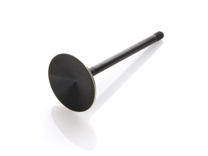 Intake Valve. Fits 1200cc Sportster 2004-2021. OEM Replacement. Black motorcycle engine valve component for Revelry Motorcycles Australia.