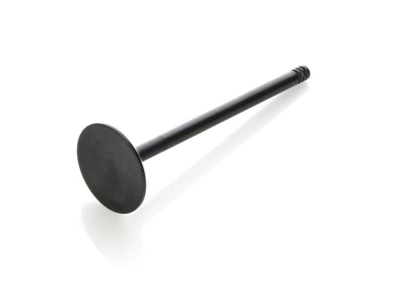 Exhaust Valve. Fits Milwaukee-Eight 2017up. OEM Replacement. Black motorcycle stand pin for Revelry Cycles bikes.