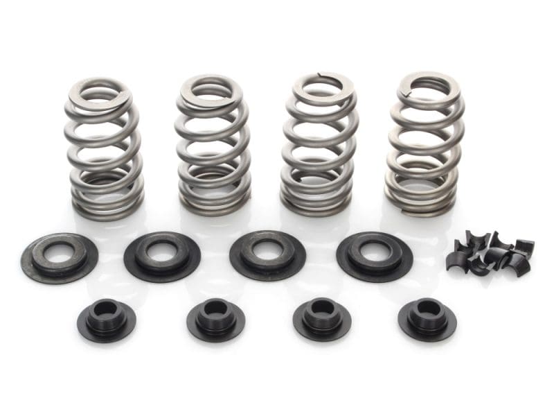 Valve Spring Kit. Fits Big Twin 1984-2004 High-quality motorcycle suspension springs and rubber bushings for Revelry Motorcycles.