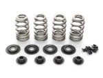 Precision motorcycle valve springs and seals for optimal engine performance.
