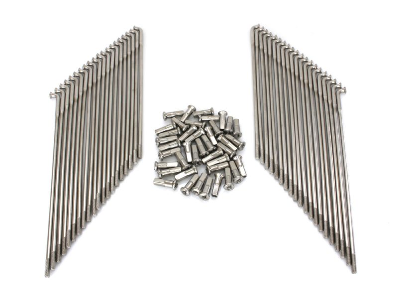 Stainless steel motorcycle fasteners and bolts for custom Revelry Motorcycles builds.