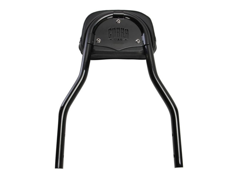 Black motorcycle sissy bar with leather pad, premium accessories for custom bikes.