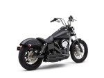 Harley Davidson black motorcycle with cruiser style and premium features, ideal for motorcycle enthusiasts.