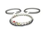 High-performance motorcycle piston rings and chain kit for Revelry Motorcycles.
