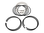 High-performance motorcycle piston rings for Revelry Motorcycles engines.
