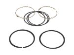 High-performance motorcycle piston rings for Revelry Motorcycles.