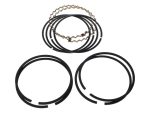 Black motorcycle piston ring set with chains and cables for Revelry Motorcycles repair parts.