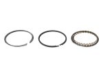 Engine piston bearing repair kit for Harley Davidson bikes.