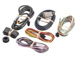 Multi-coloured motorcycle wiring harness set for Revelry Motorcycles Australia.