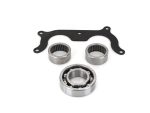 High quality motorcycle bearing kit for Revelry Cycles bikes.