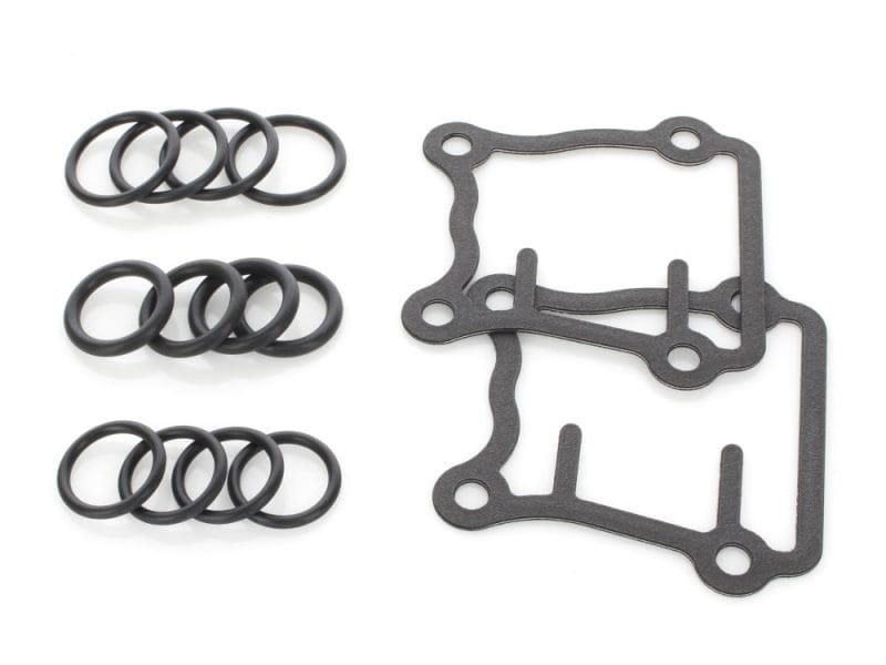 Black O-ring gaskets and motorcycle engine gasket set for Revelry Motorcycles.