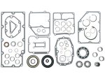 High-quality motorcycle engine gasket set with bearings for Revelry Motorcycles.