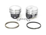 High-performance motorcycle pistons with ring kit for Revelry Motorcycles.