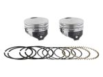 High-performance motorcycle pistons with rings and bearings for Revelry Motorcycles.